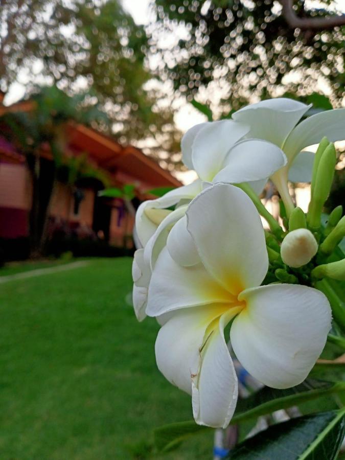 Cliff View Bungalows Koh Chang Exterior foto